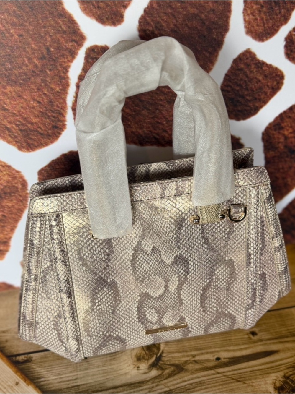 NWT Brahmin Small Arden Gold Blissful Snake BRAHMIN CAPSULE LIMITED EDITION $415 - Picture 2 of 16